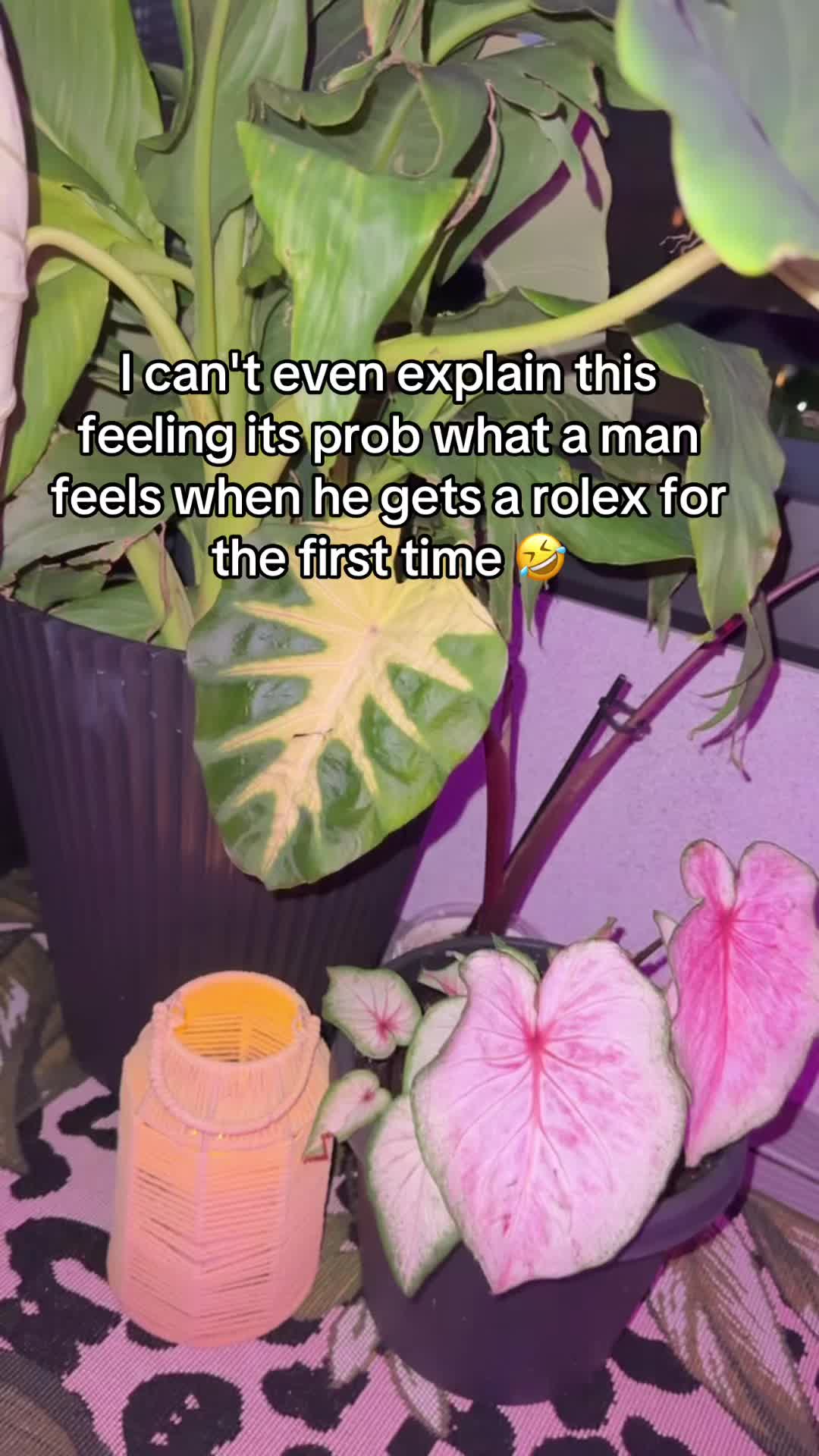 @moneybirdettexo