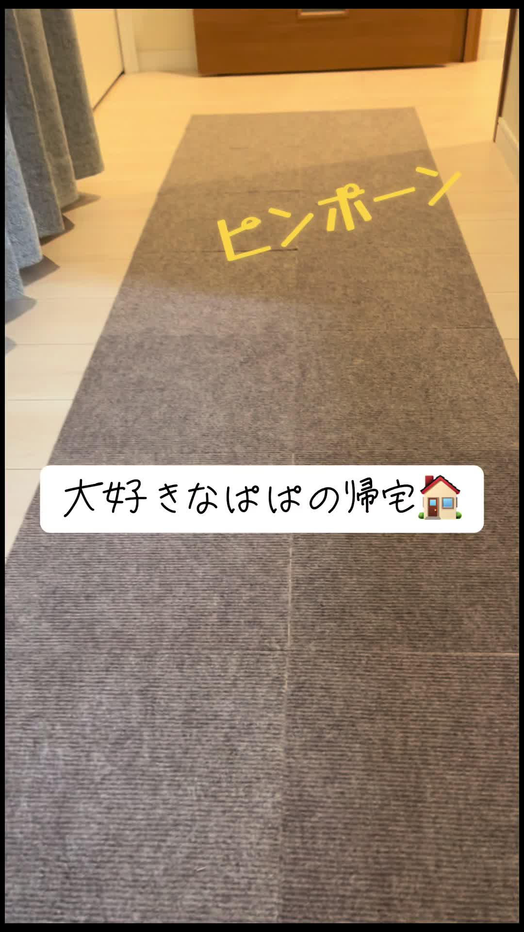 @ミニシュナらび