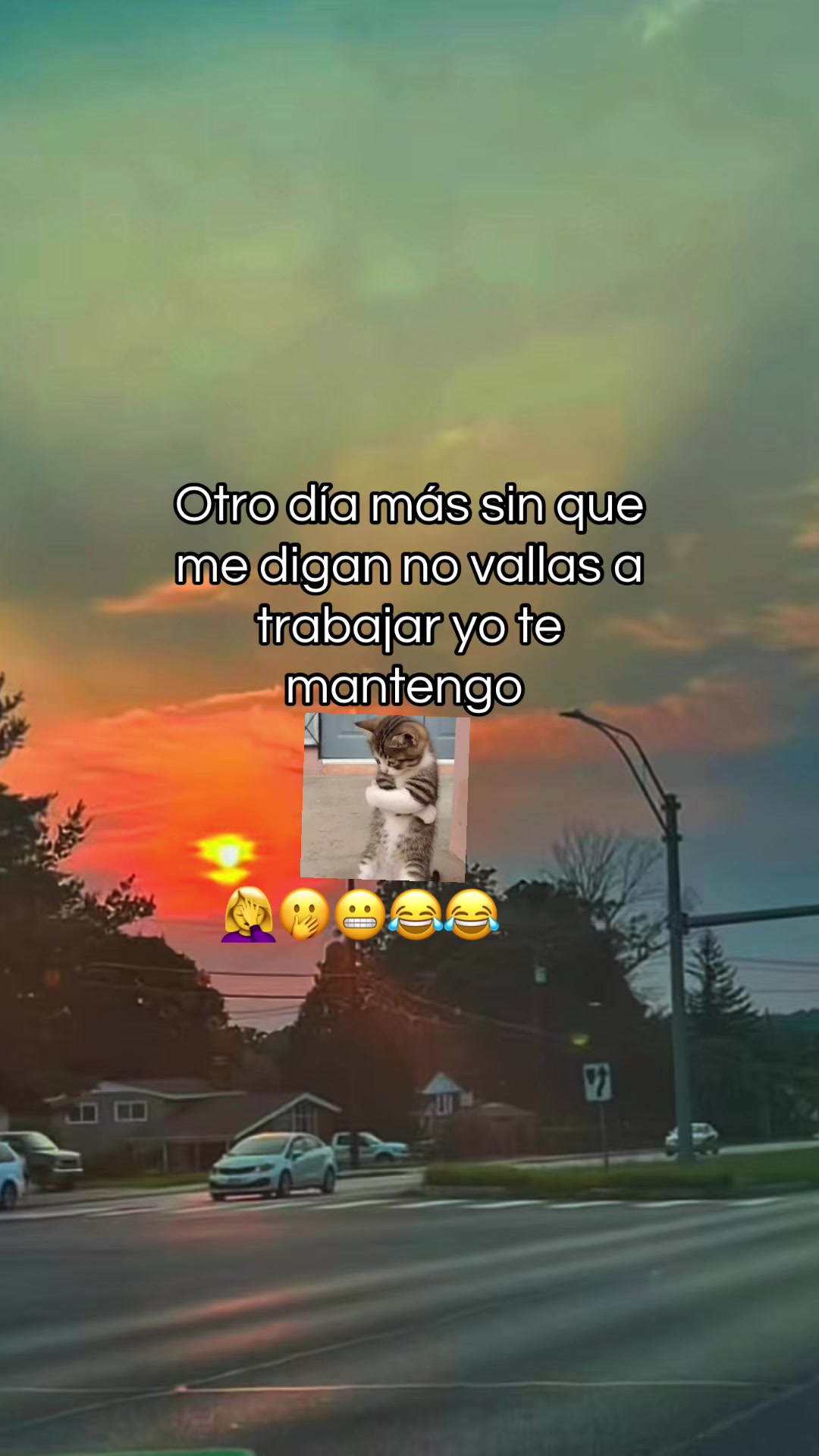 @꓄꒐꓄ꋬ ꃳꄲꆰ꒤꒐ꋊ