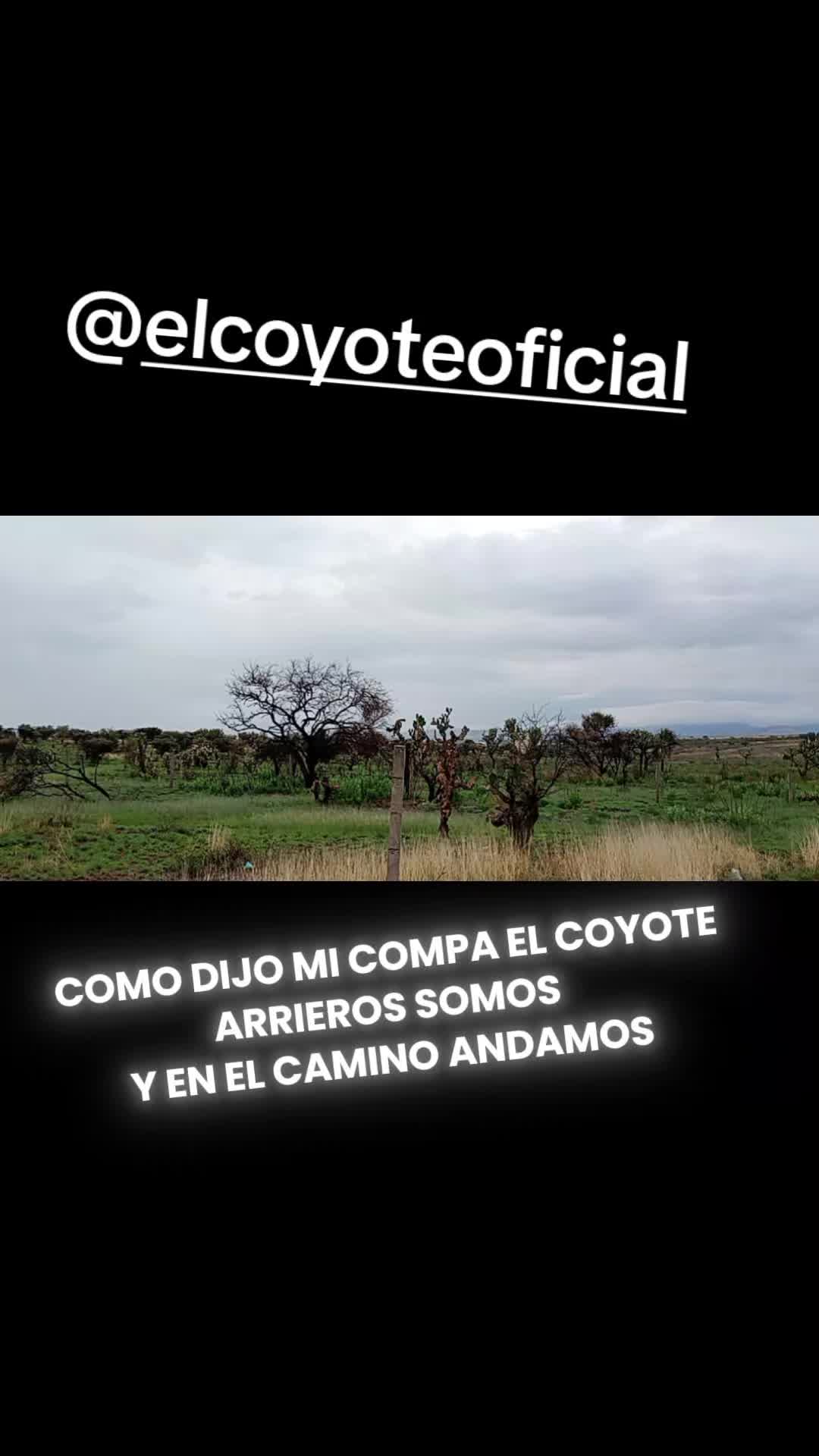 @Berny Briano Ortega 😎🇲🇽 🫡