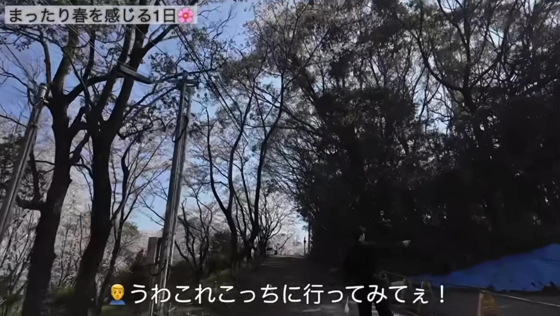 @たいせい🦍