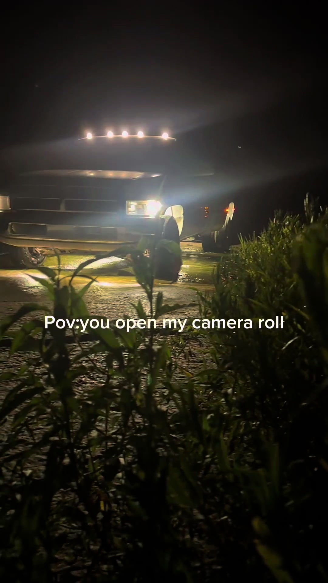@️pawpaw 2g