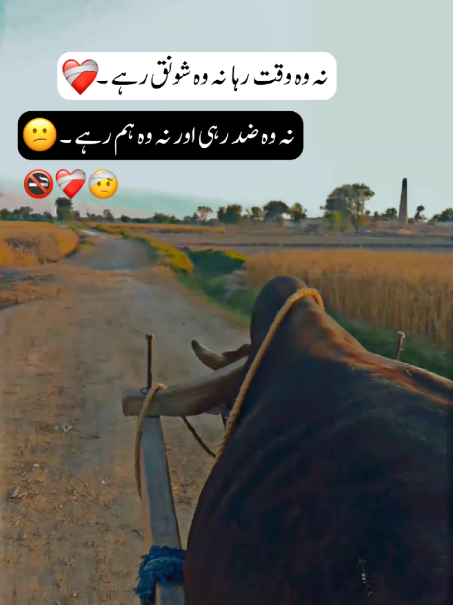 @⚠️❌چـدھـڑ بـادشــاہ❌⚠️