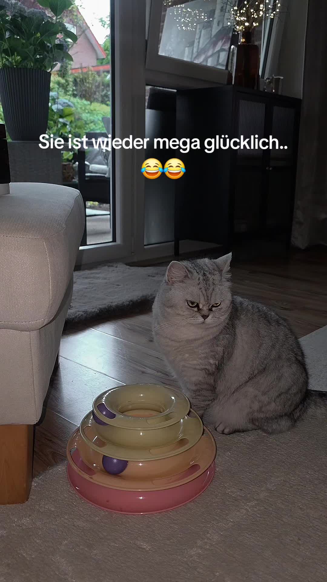 @ladynicki