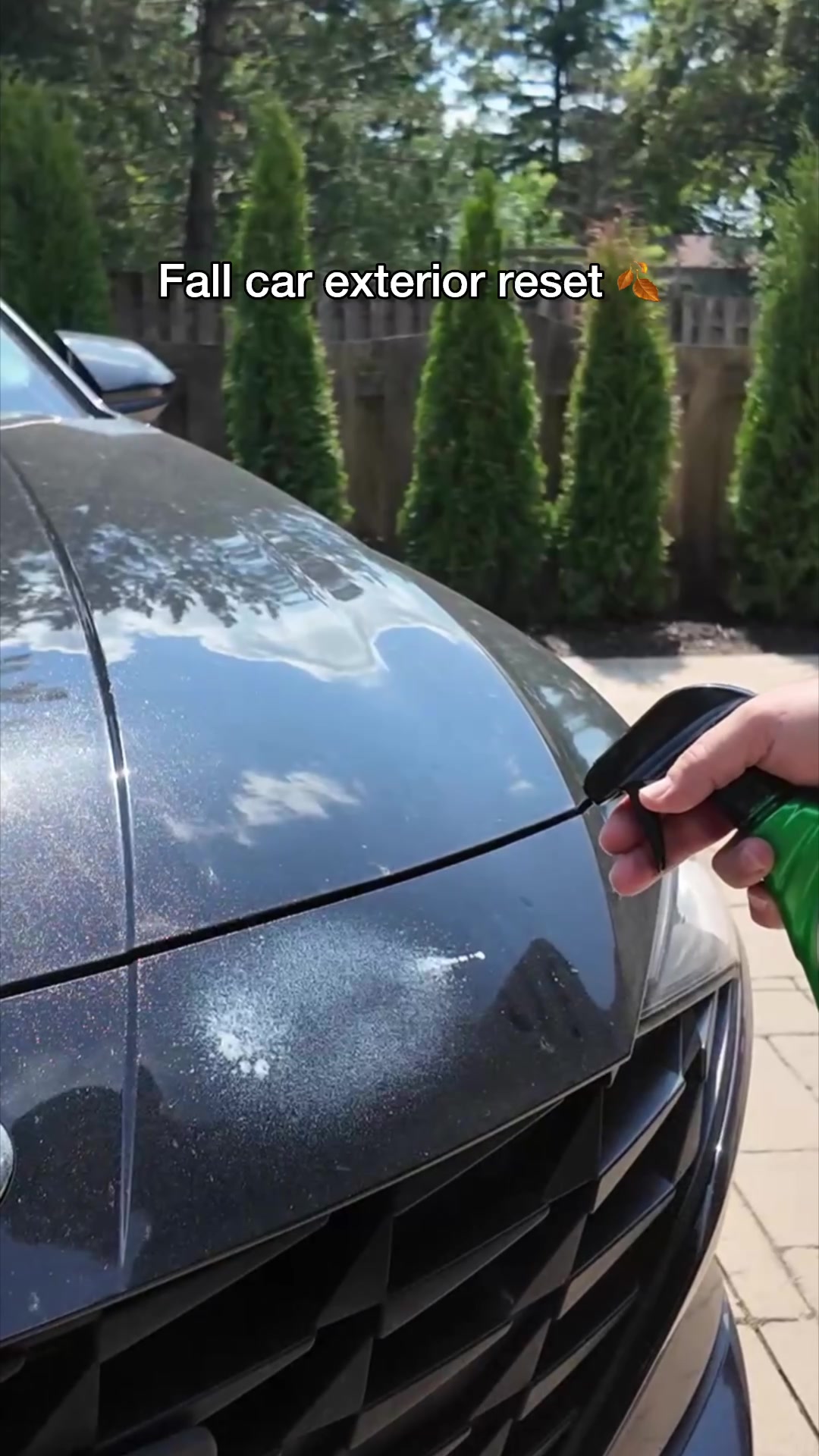 @Turtle Wax