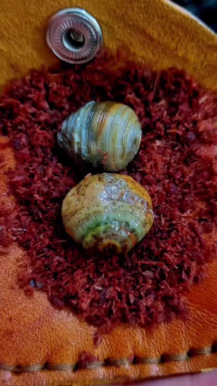 @doafalosta
