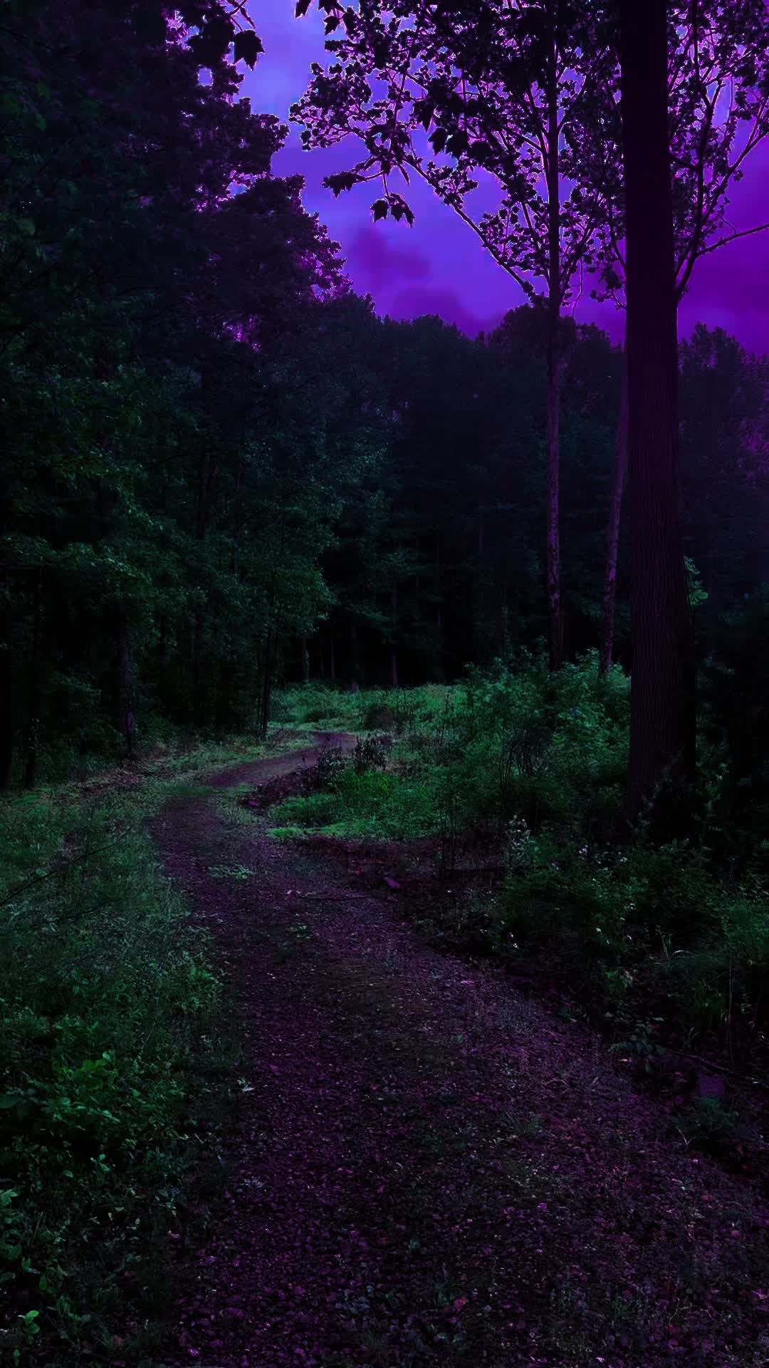 @DarkSpaces