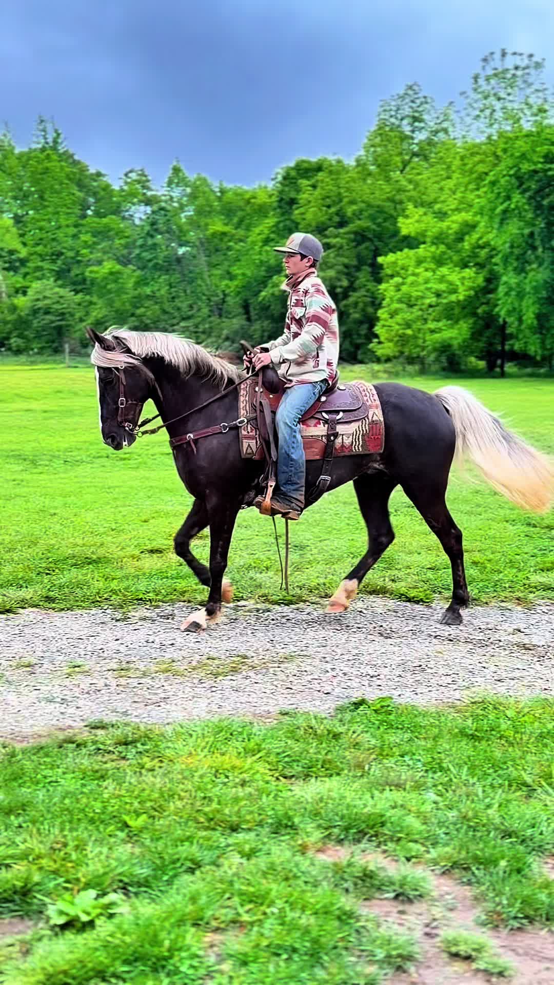 @Lucky D Ranch 🍀