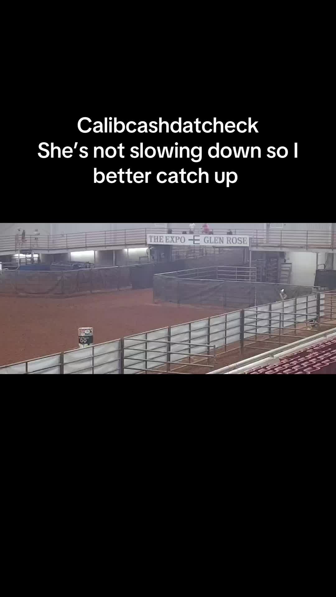 @TF Performance Horses