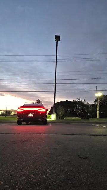 @xoHydra