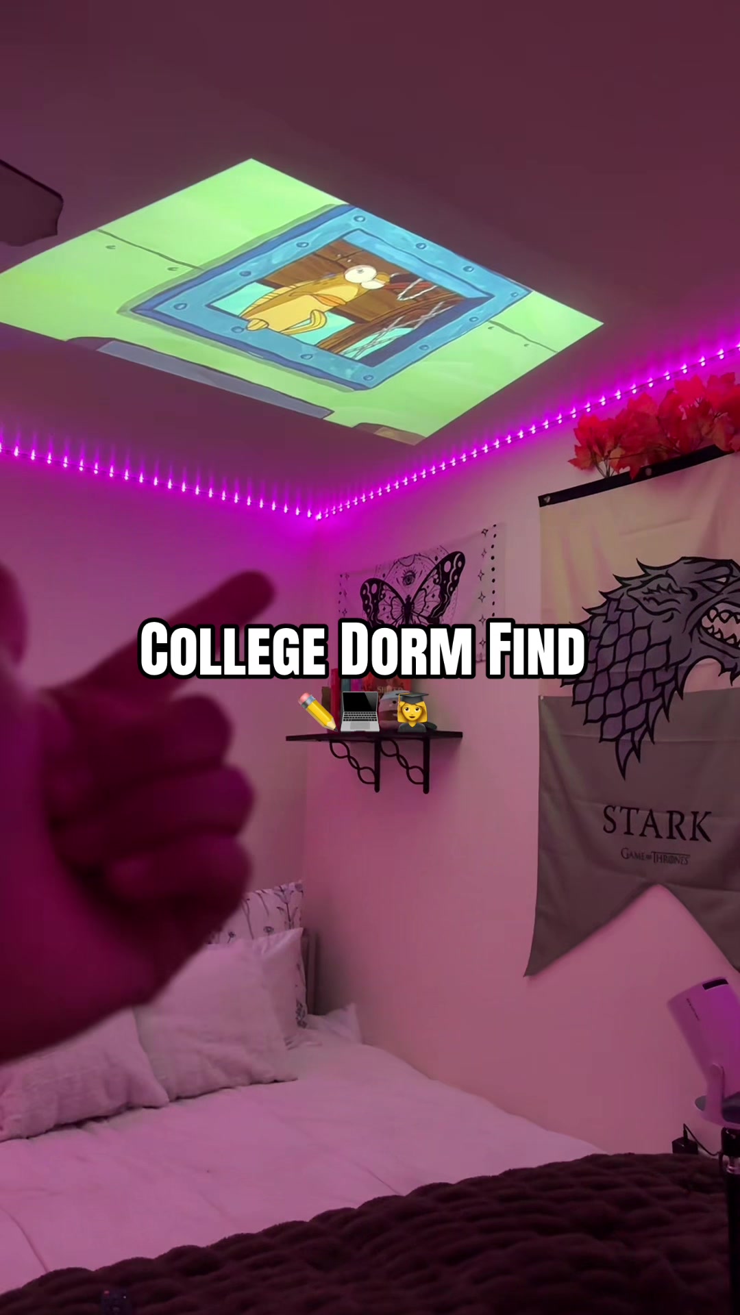 @DoraPalm 💖