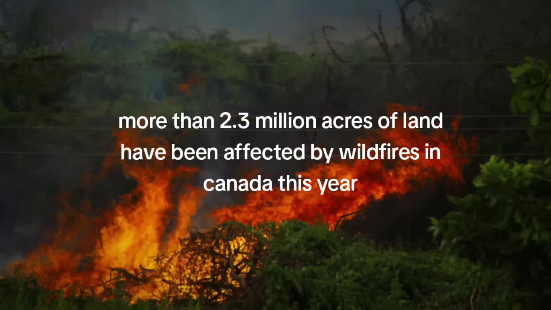 @Save Our Earth