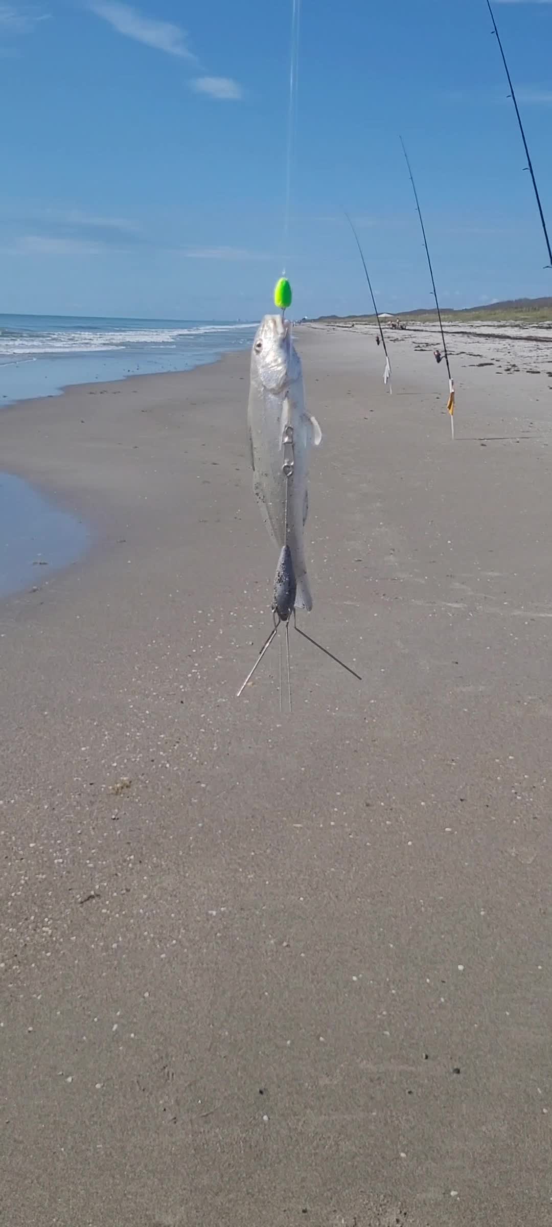 @Ghost of Space Coast Fishing