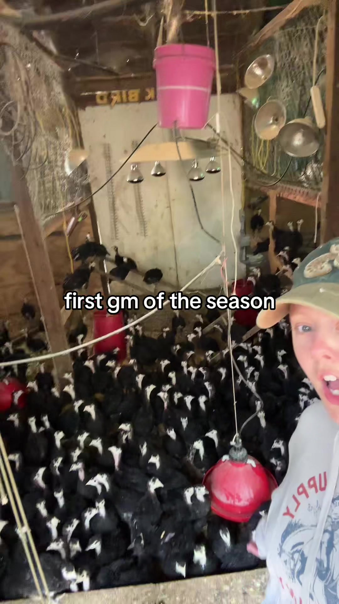 @farmerandtheharpiist