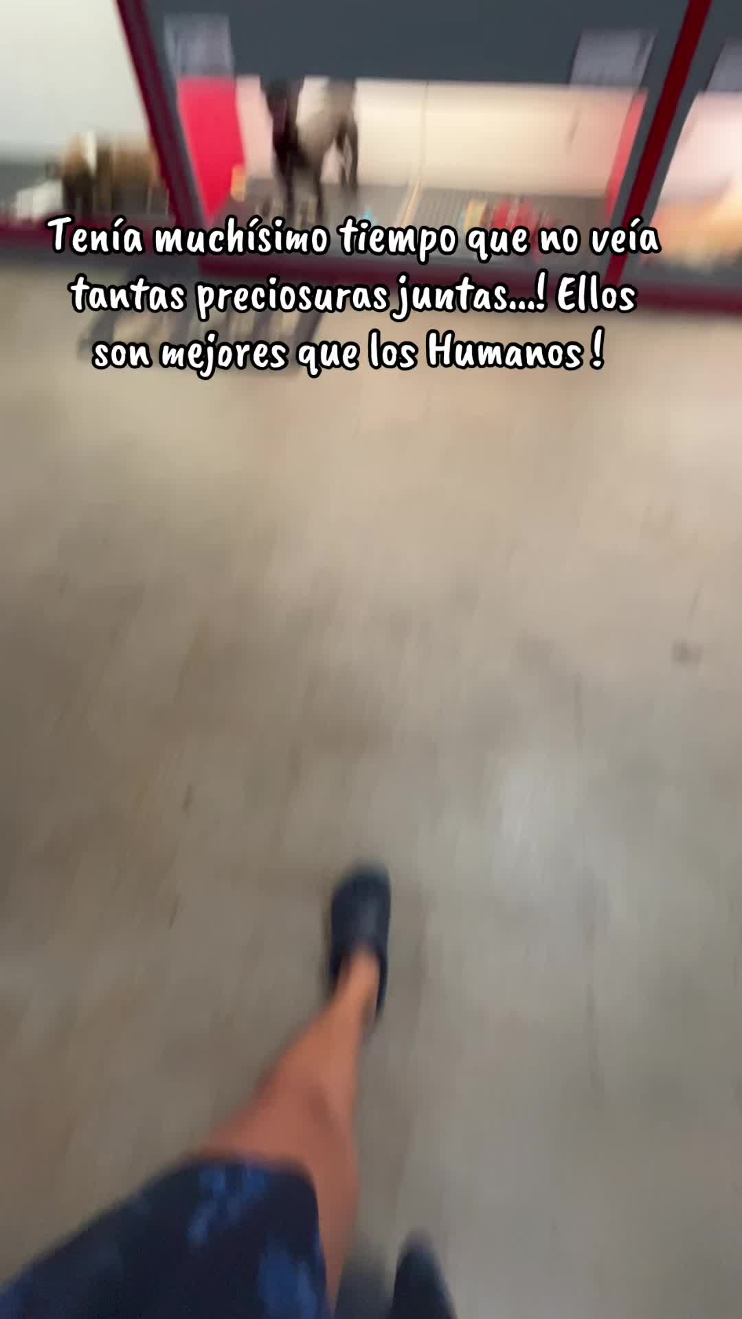 @TuziLoreley