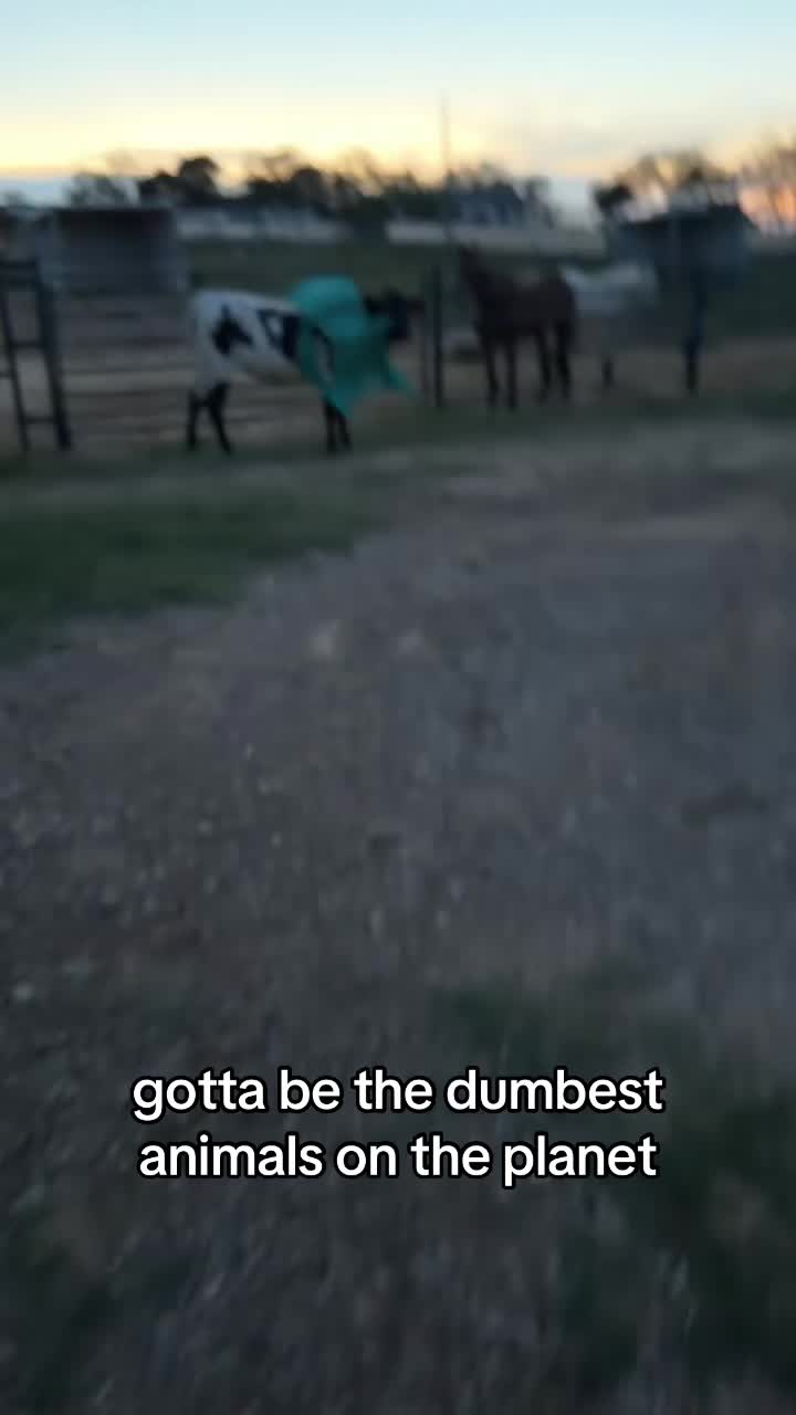 @Austin Apodaca