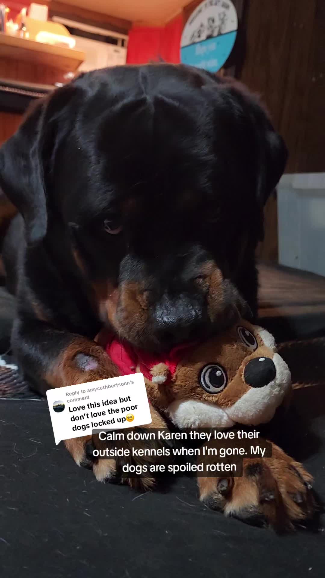 @minihorsemomandtrainer🐴🐴🐴🐴