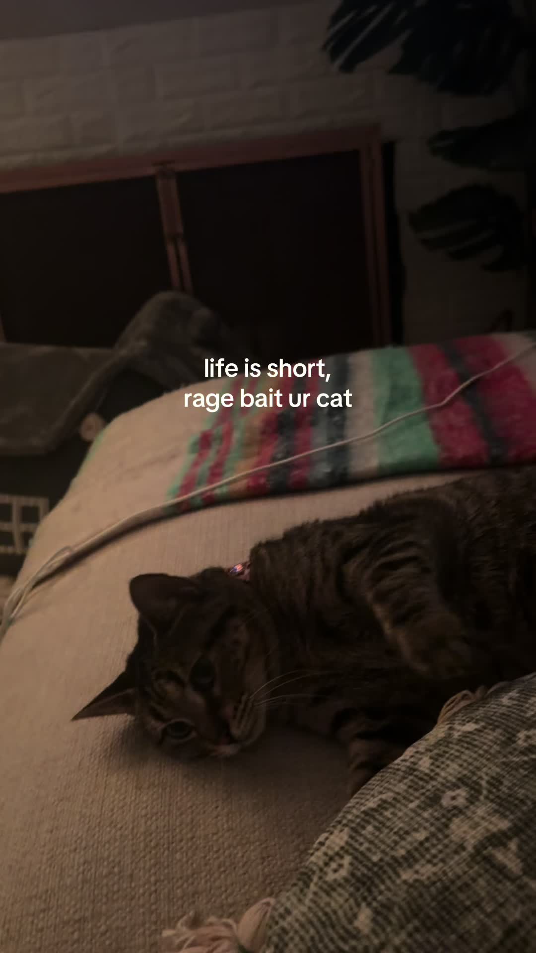 @KAYLA 🤍