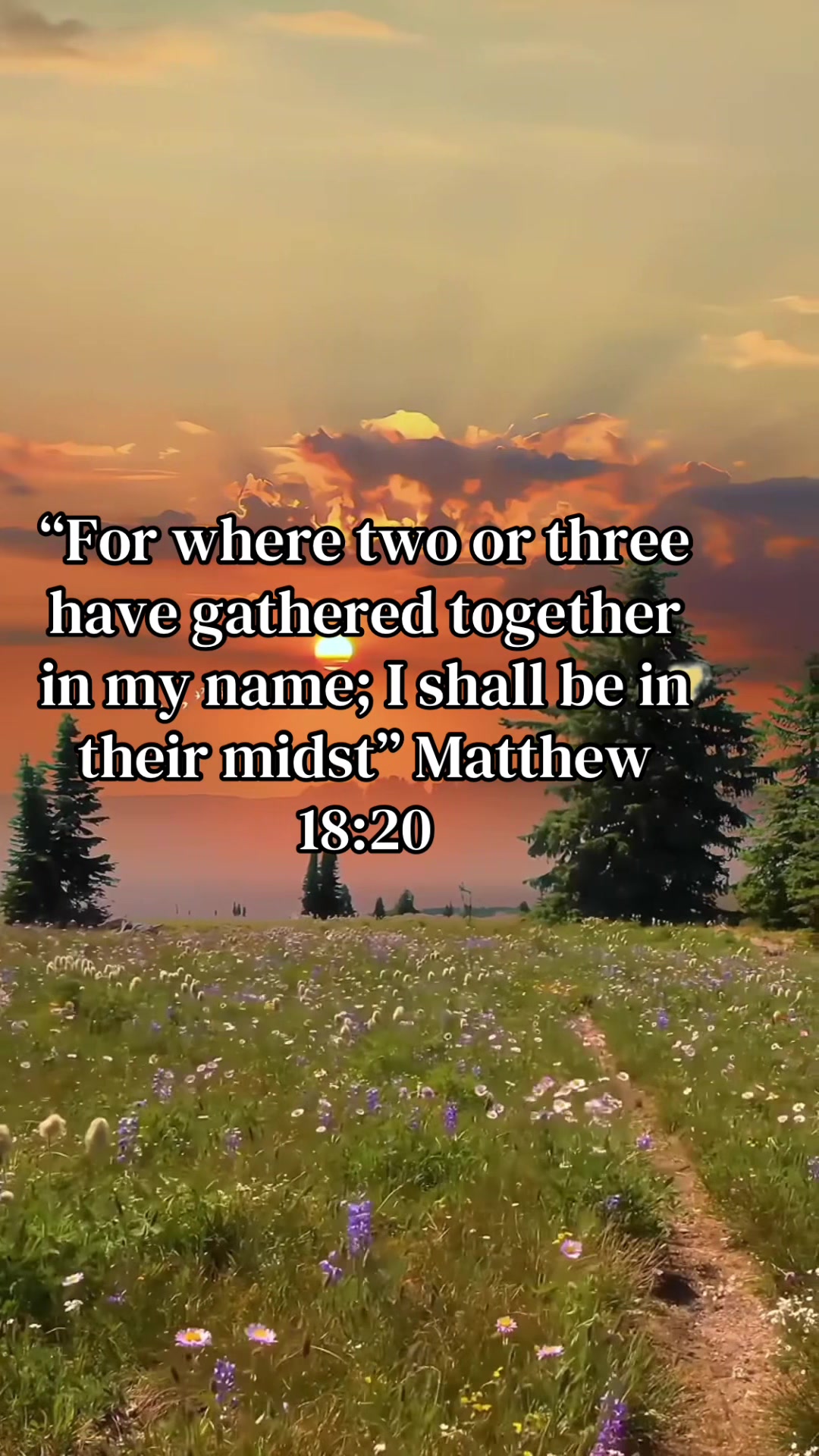 @Feminine Survivor