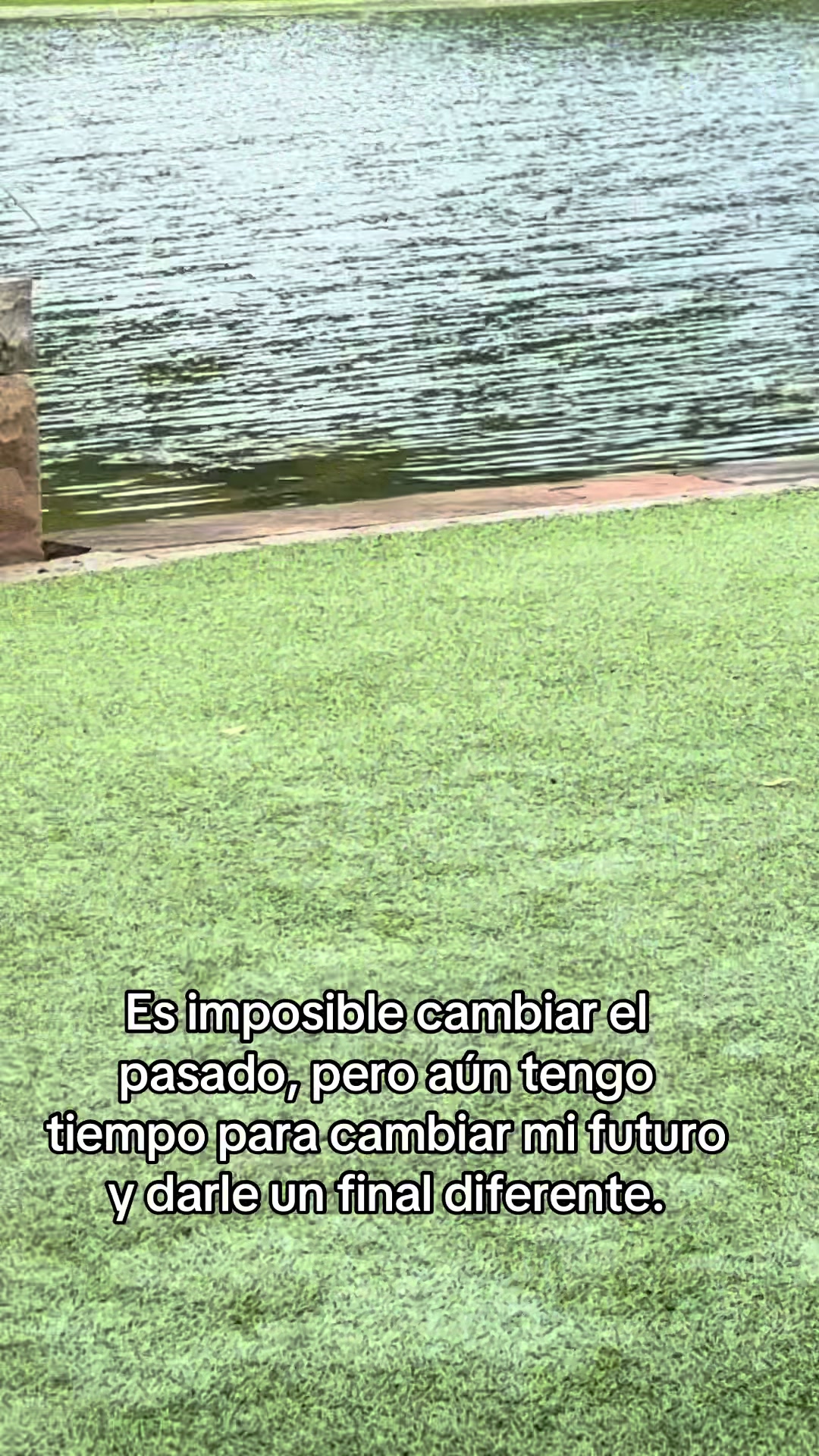 @Michoacanaallyzone