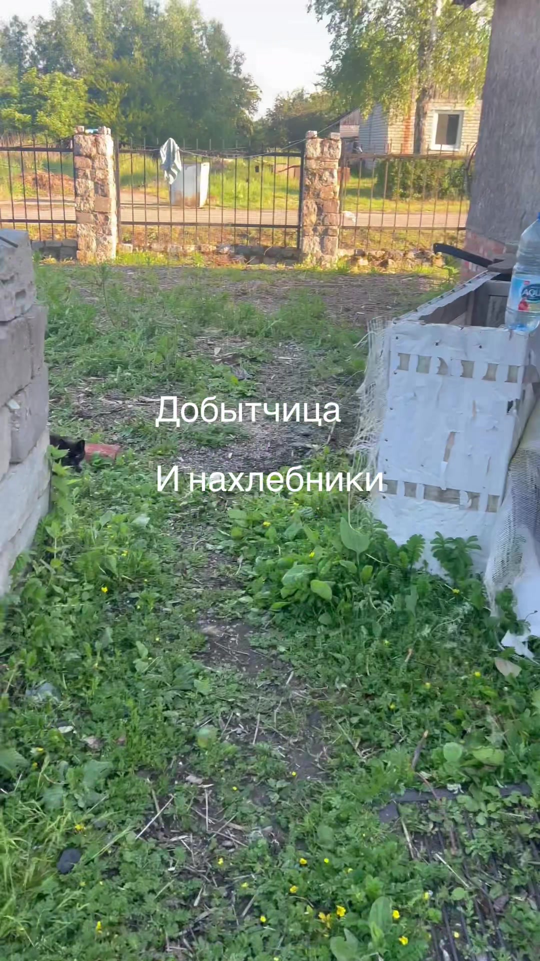 @Evgen