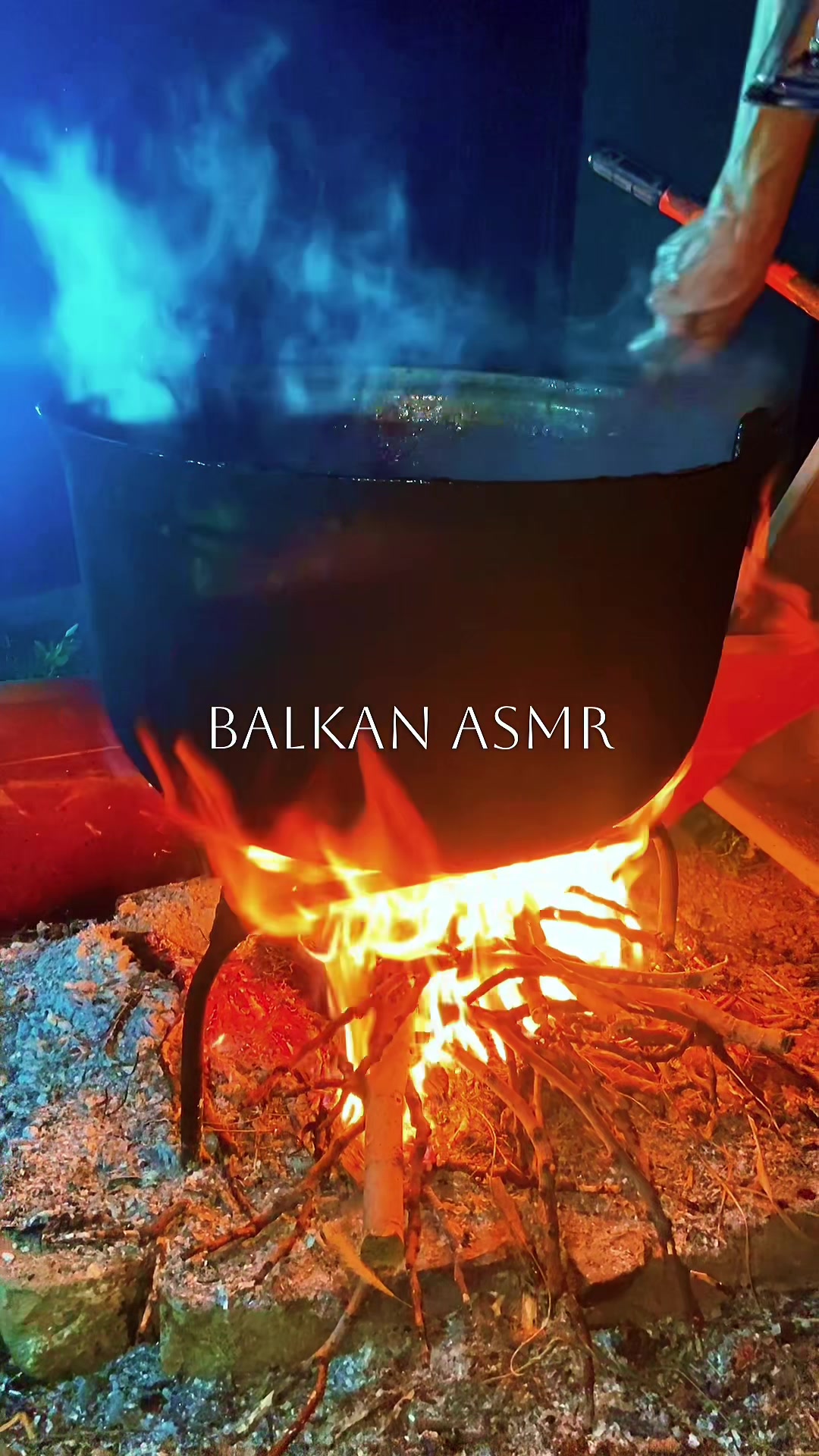 @anishamarrya