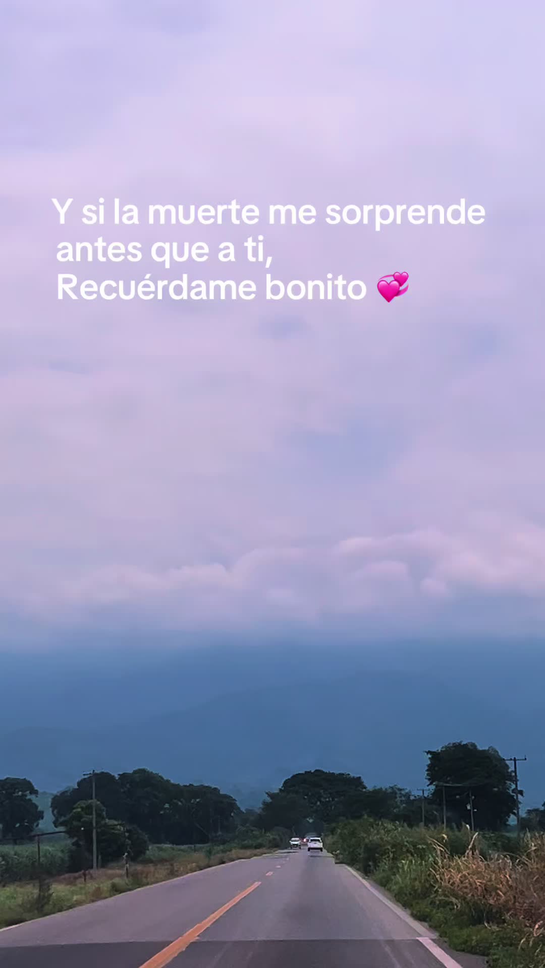 @Nancy Arevalo