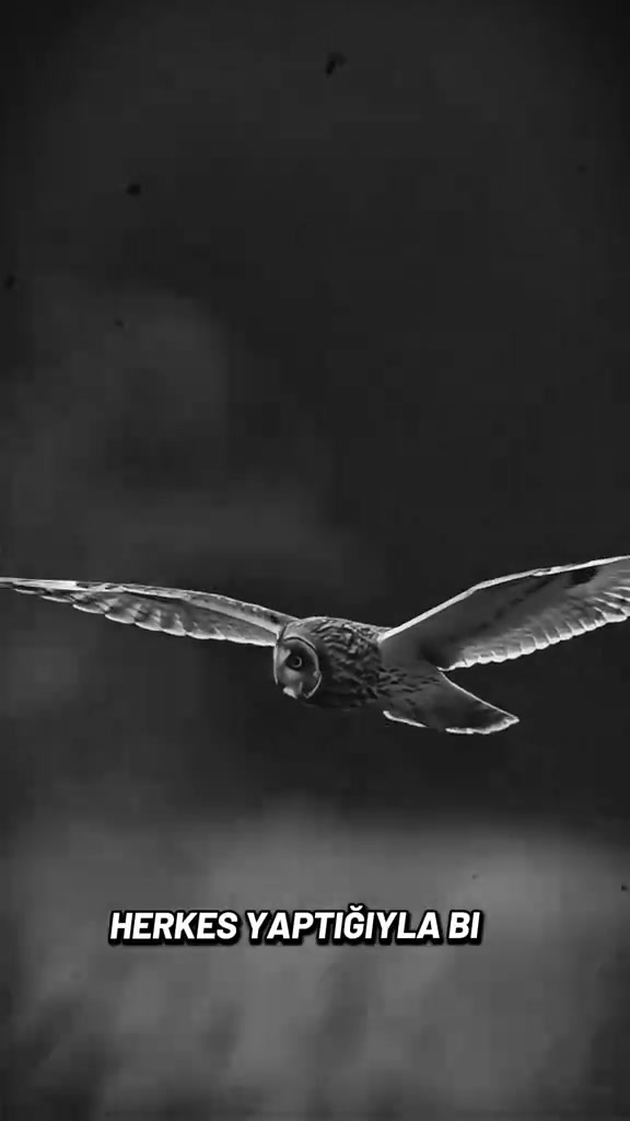 @Orhan67🇹🇷