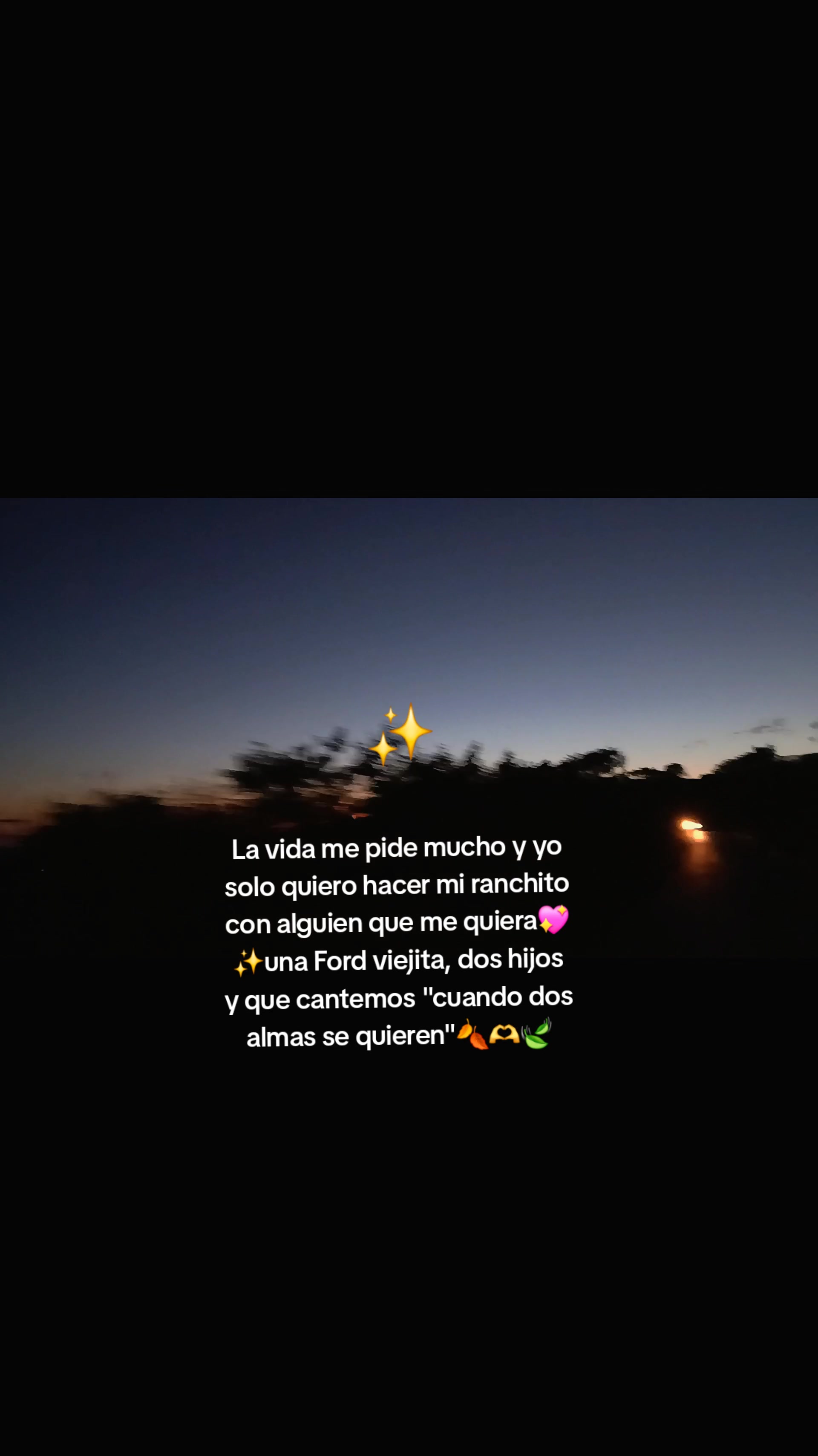 @Leyber 👻