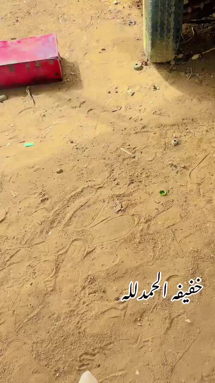 @كلو لي خير 👉