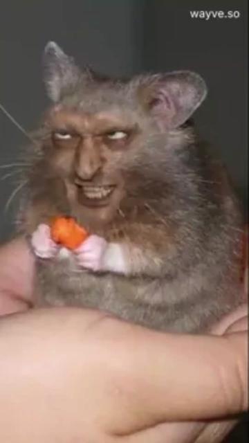 @Cramin Beaver
