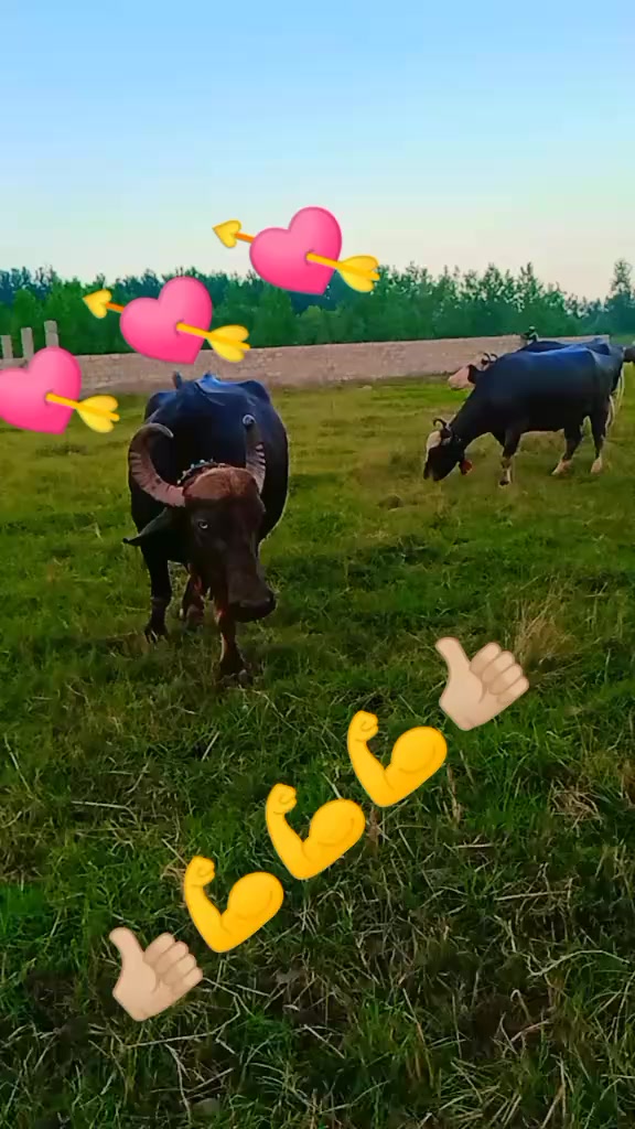 @Umarjan