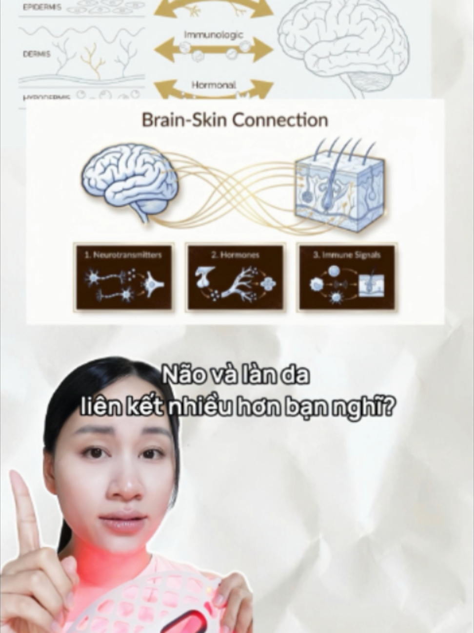 @Halio Việt Nam