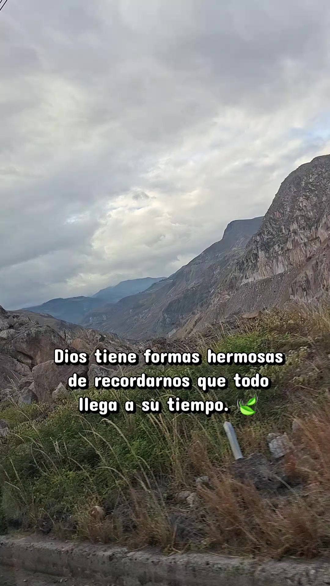 @Mary