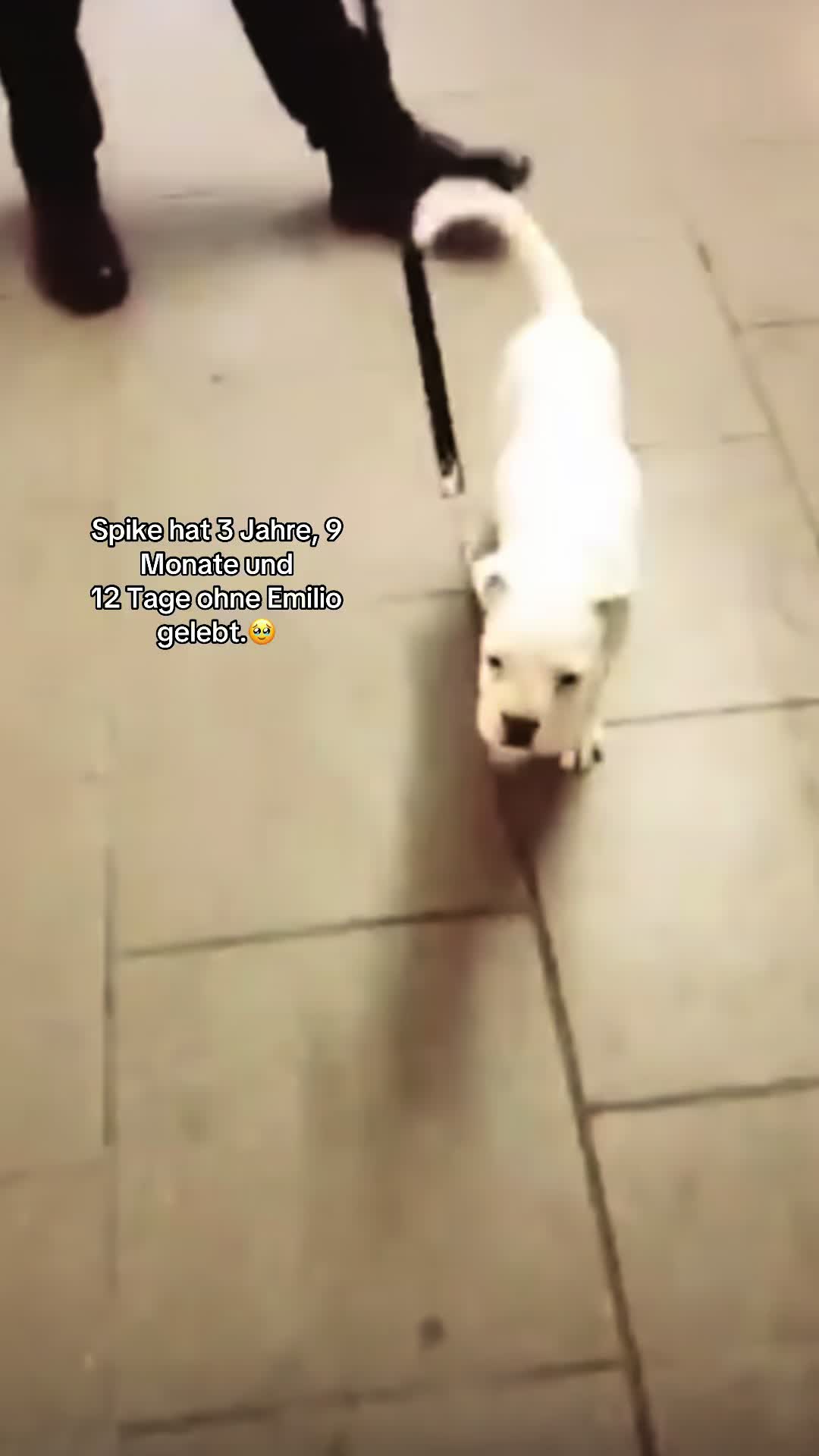 @MAMA_VON_EMILIO
