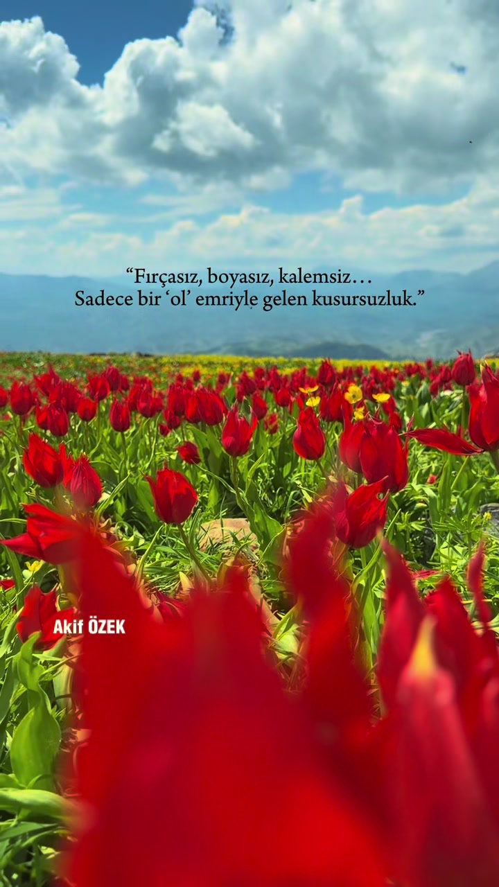 @akif.ozek