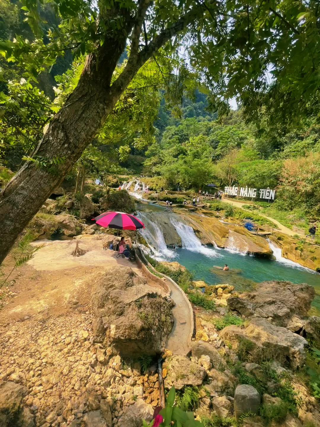 @hiếu lương🐳