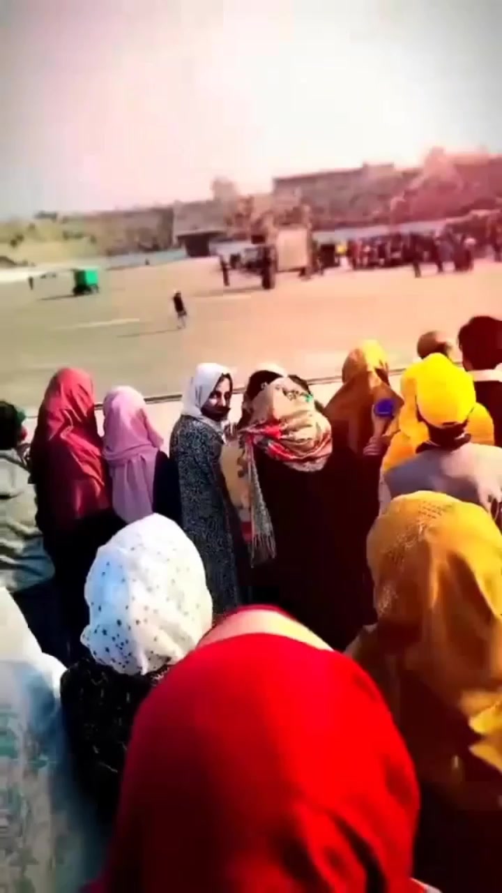 @absar Jani