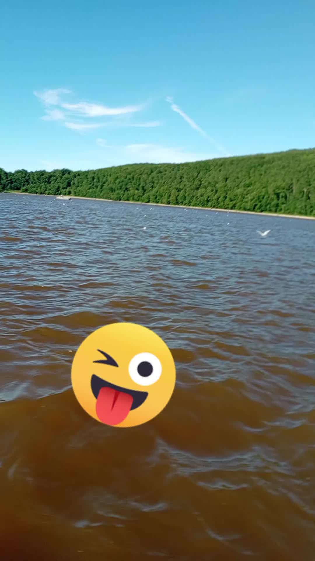 @Аня