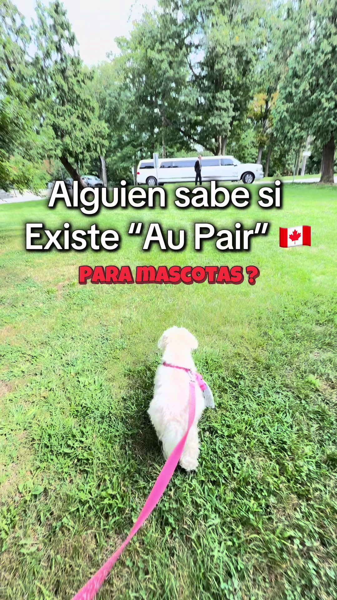 @Algoqcontar