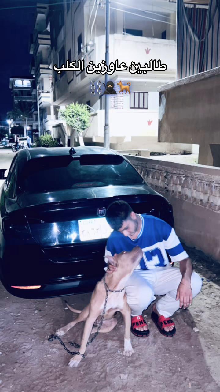 @﮼الموبس🎭