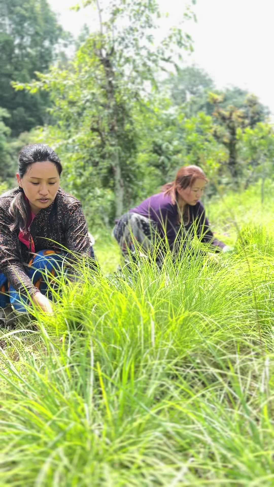 @Yenserj gurung