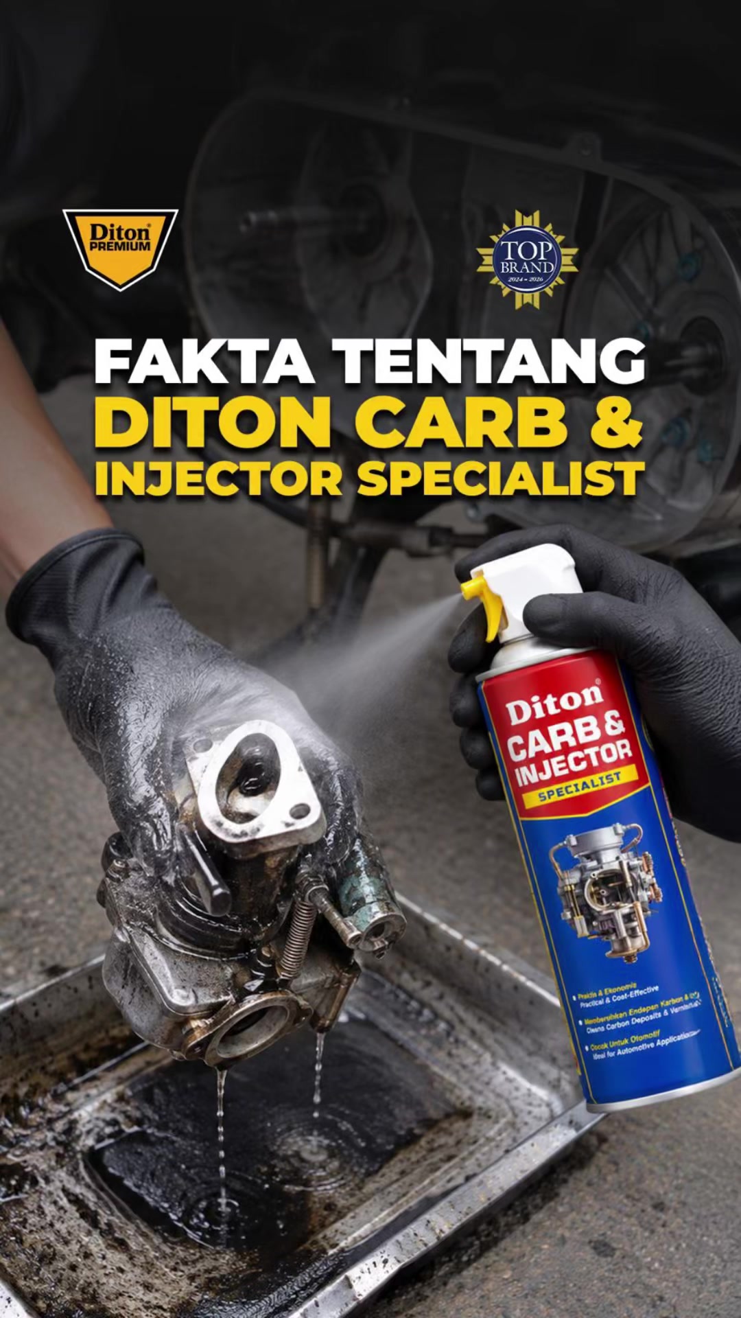 @Diton Premium