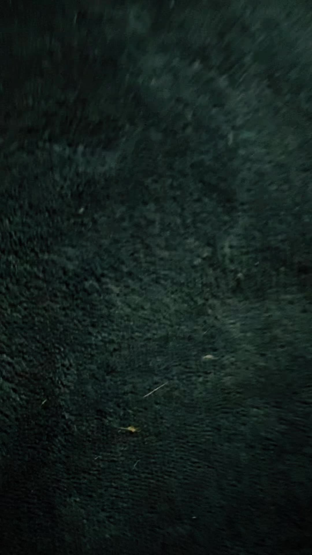 @jesus rafael contrer