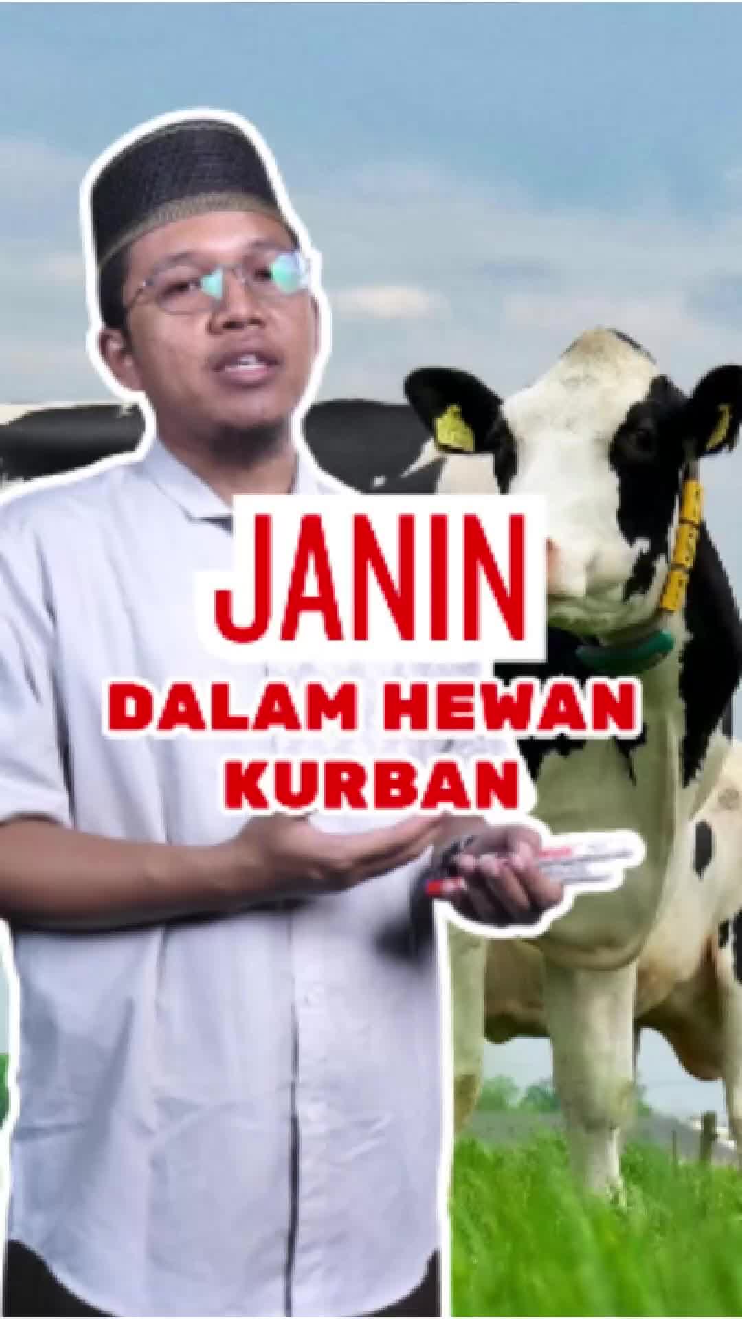@almahbaroh