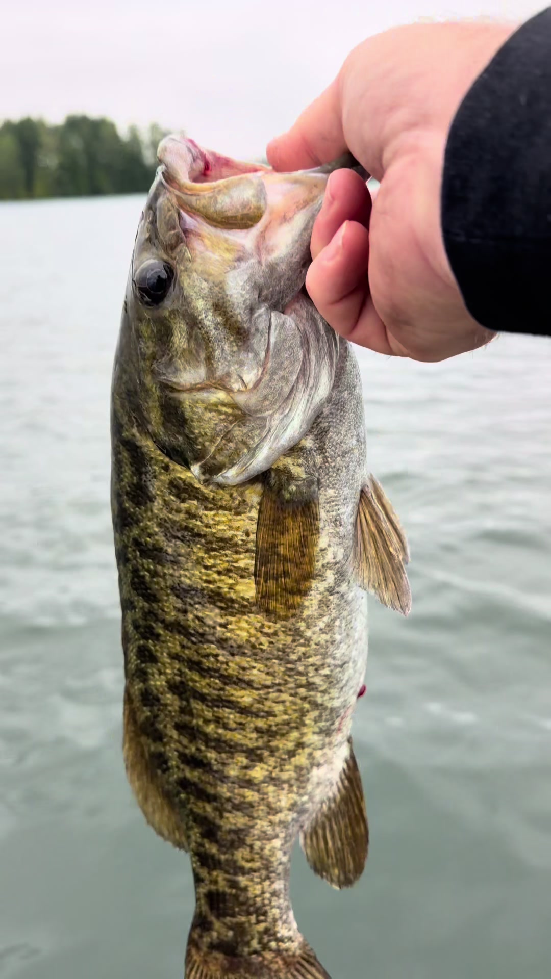 @BassfisherB253