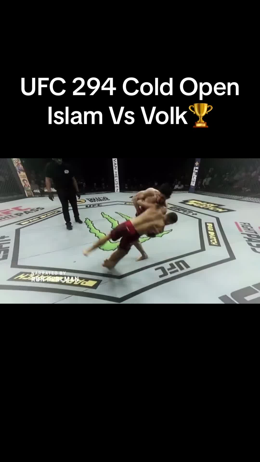 @🤼⚜️