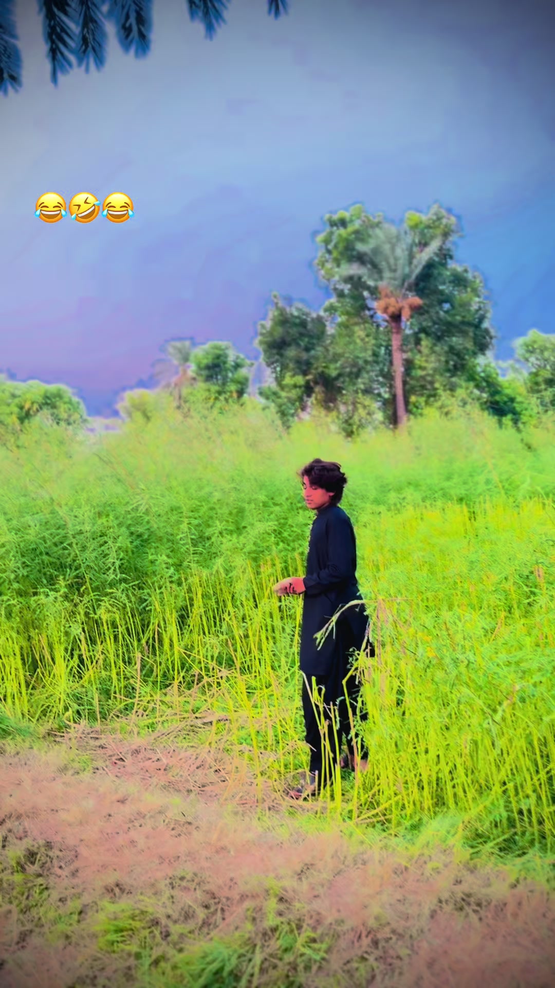 @Team bhambhani