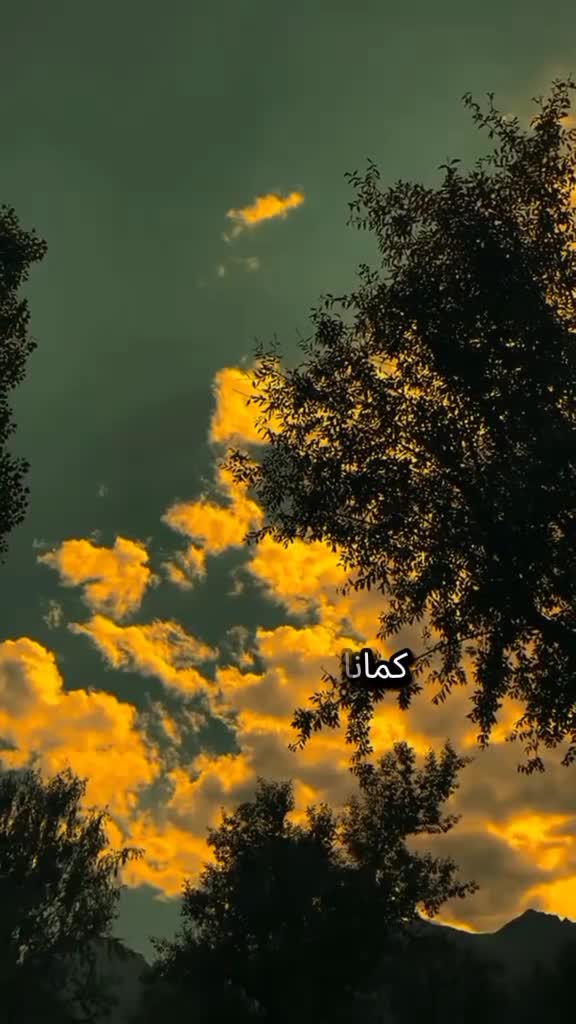 @♡⋇⋆✦⋆⋇(مصحف)⋇⋆✦⋆♡