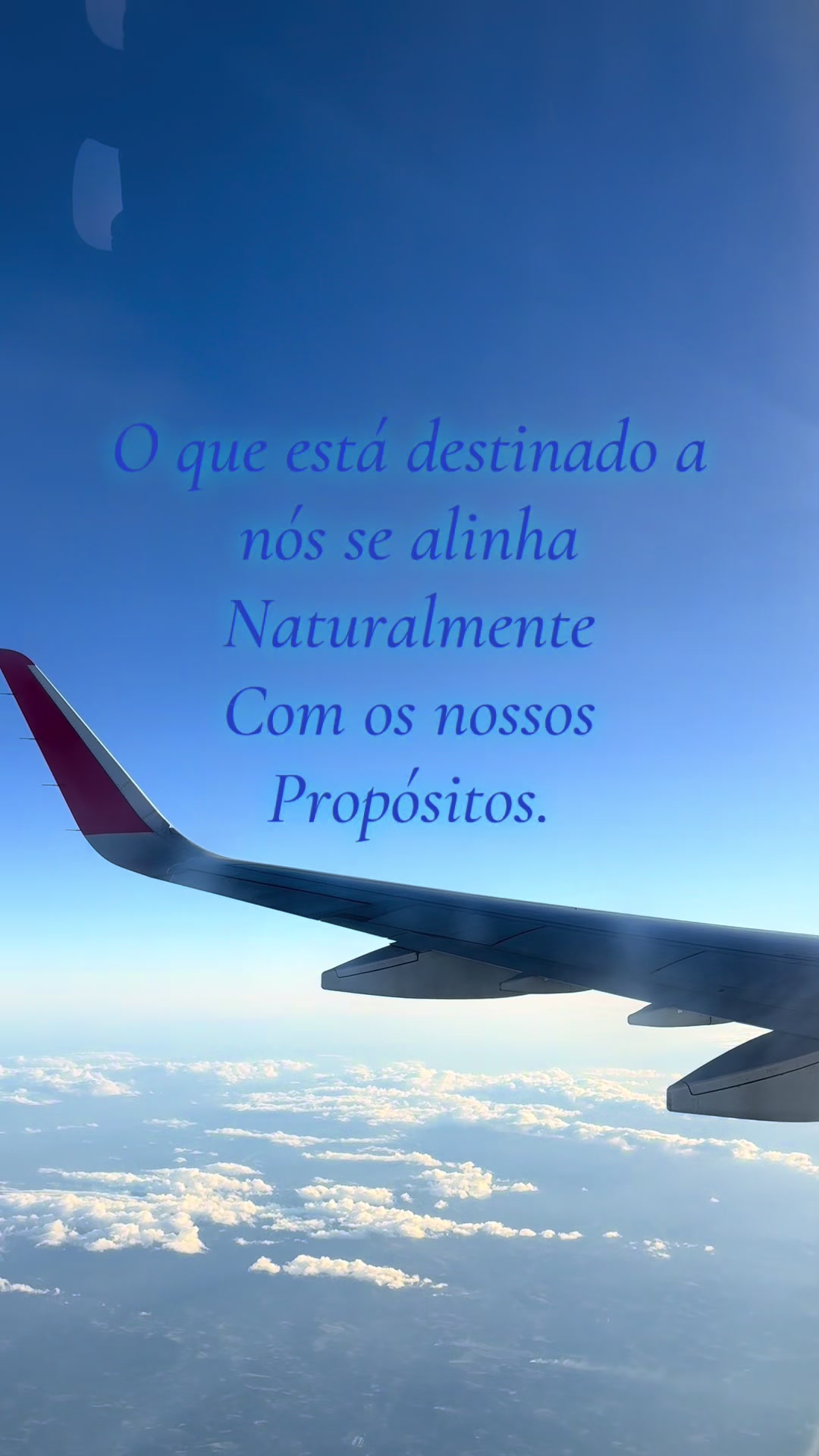 @Giih Crepaldi